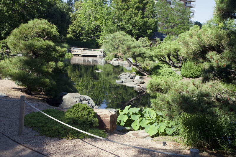 Pond at Japanese Garden