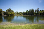 Pond at the Fairchild Tropical Botanic Garden