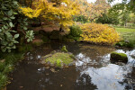 Pond with Mossy Rocks