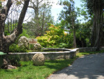 Pool and Sign