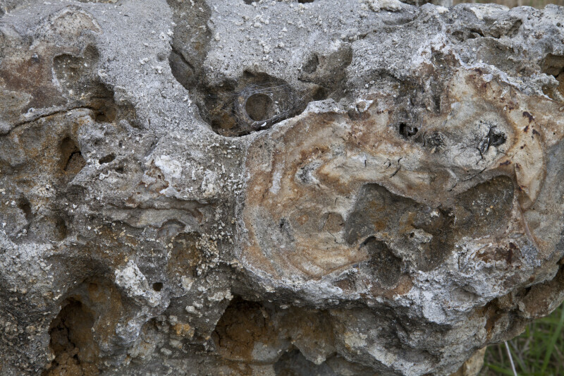 Porous Rock at Colt Creek State Park