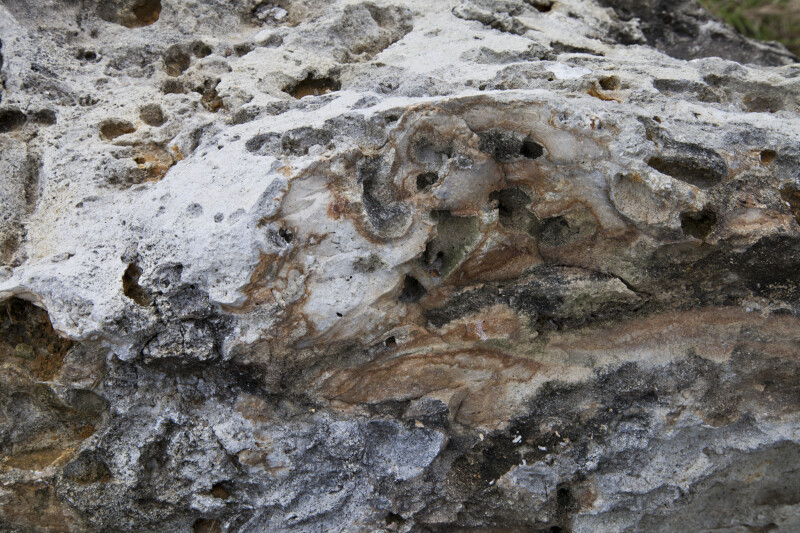 Porous Rock Close-Up at Colt Creek State Park