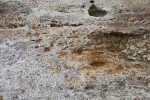 Porous Rock with Orange, Grey, and Brown Coloring