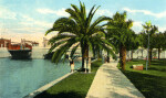 Promenade in Plant Park, Along the Hillsborough River