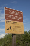 Protected Area and Alligator Safety Signs Attached to Wooden Post