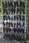 Rack of Rubber Shoes for River Wading