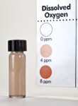 Reading Results of a Dissolved Oxygen Test