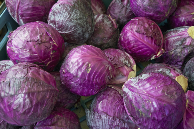 Red Cabbage Heads at Haymarket Square