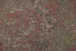 Red Painted Concrete