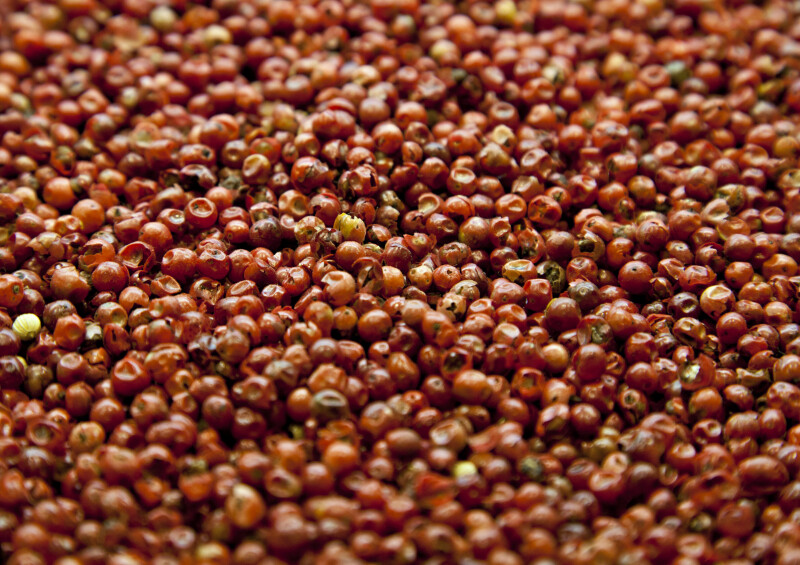 Red Pepper Spice at the Spice Bazaar in Istanbul, Turkey