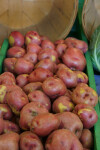Red Potatoes at the Tampa Bay Farmers Market
