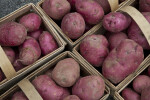 Red Potatoes in Baskets