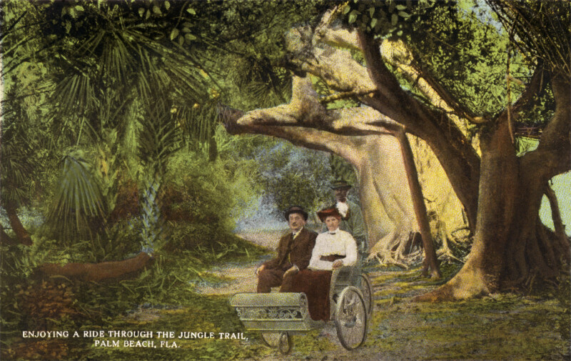 Riding in a Bicycle Chair, on the Jungle Trail