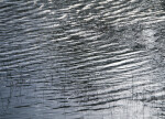 Ripples on the Surface of a Pond