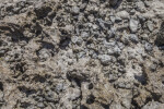 Rock Formation at Biscayne National Park