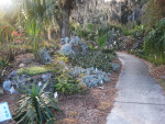 Rock Garden Path