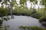 Rock Garden through Vegetation