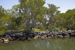 Rock Wall Barrier