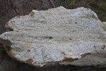 Rock with a White Surface at Colt Creek State Park