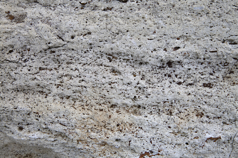 Rock with Numerous Pores at Colt Creek State Park