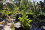 Rocks and Vegetation