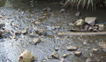 Rocks in South Creek