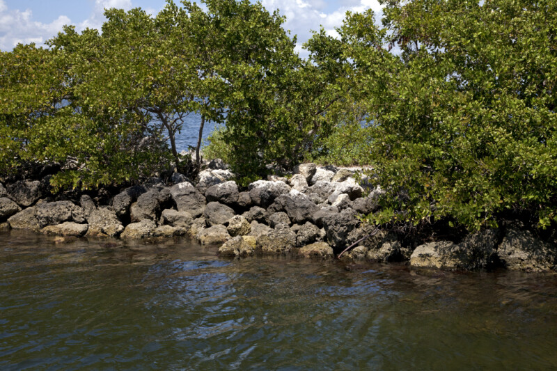 Rocks, Water, and Tress at Biscayne National Park