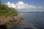 Rocks, Water, Trees, and Clouds