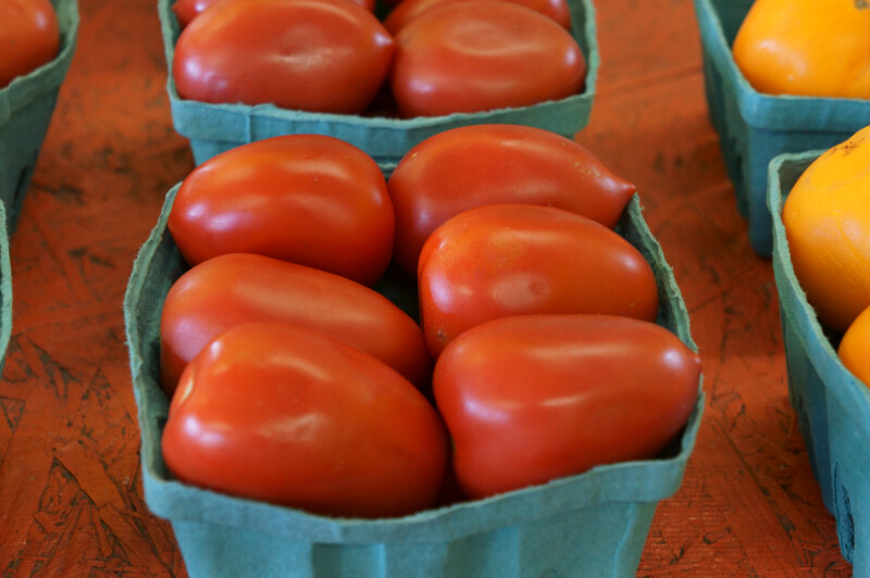 Roma Tomatoes in a Container