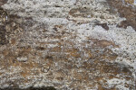 Rough Texture of a Porous Rock