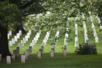 Rows of Grave Markers