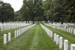 Rows of Grave Markers