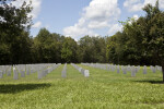 Rows of Gravestones