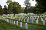 Rows of Headstones