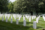 Rows of Headstones