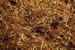 Salad Spice at the Spice Bazaar in Istanbul, Turkey