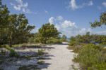 Sand Trail Leading to Atlantic Ocean