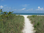 Sandy Path