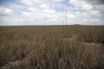 Sawgrass Prairie