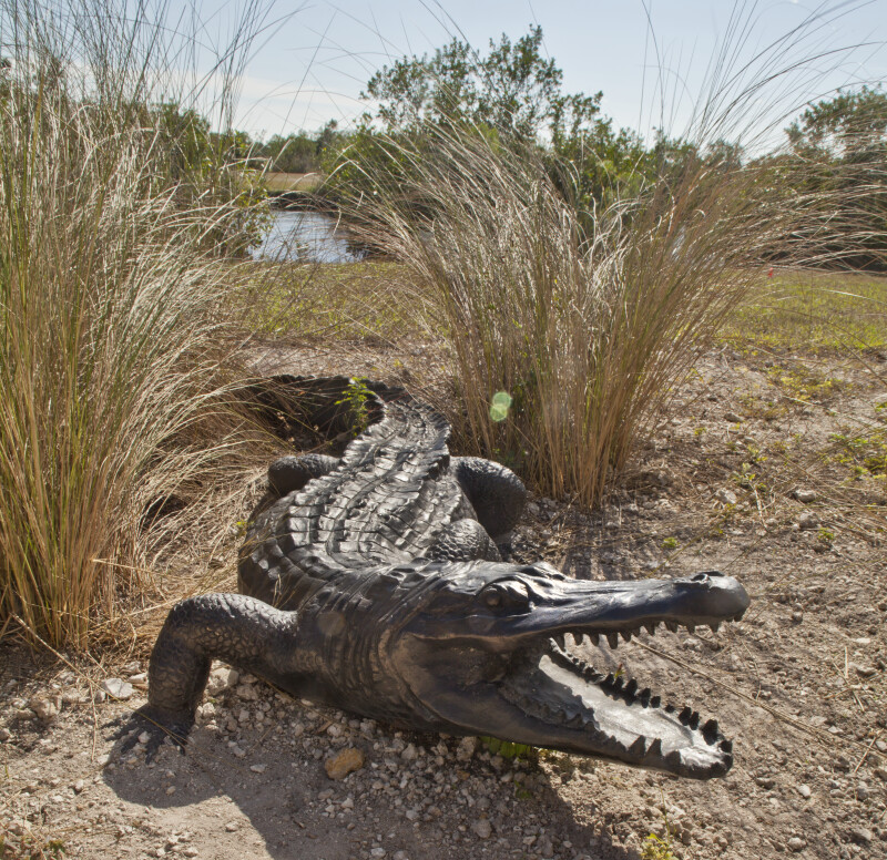 Sculpture of American Alligator with Open Mouth