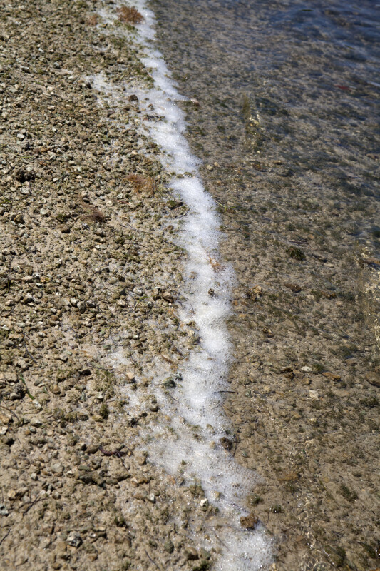 Sea Foam Along the Shoreline at Biscayne National Park