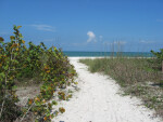 Sea Grapes and Sea Oats