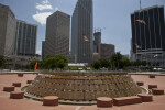 Seagulls and Fountain