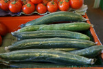 Seedless Cucumbers Wrapped in Plastic