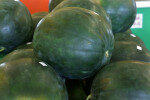 Seedless Florida "Sugar Baby" Watermelons