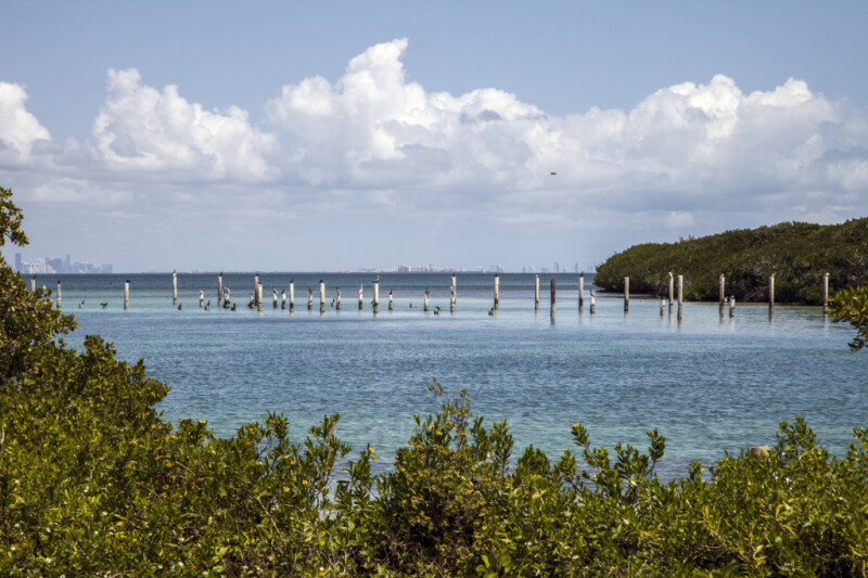 Several Docking Posts with Skyline in Distance