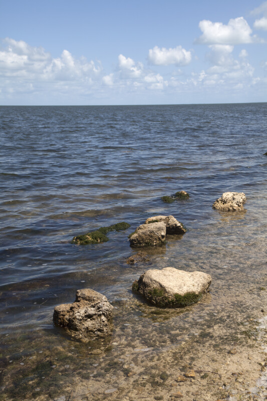 Several Rocks Near the Shore at Biscayne National Park
