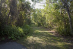 Shaded, Grass Trail at Everglades National Park
