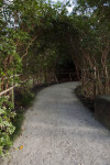 Shaded Walkway