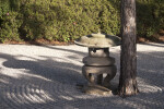 Shadows Casted Upon Trunk of Pine Tree and Small, Stone Sculpture
